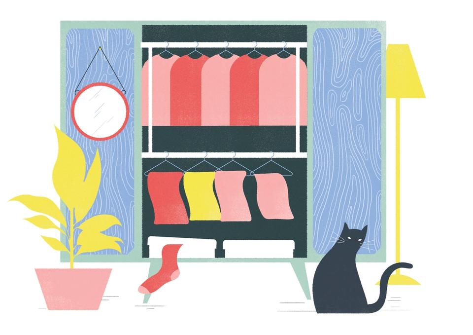 Illustration of wardrobe closet showing organized clothes, cat sitting in front